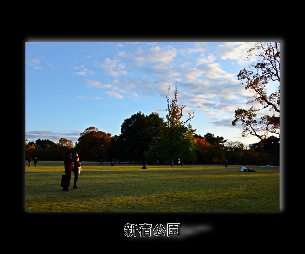 新宿公園