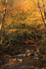 秋の川