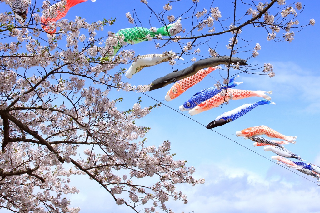 晴天を彩る双春たち
