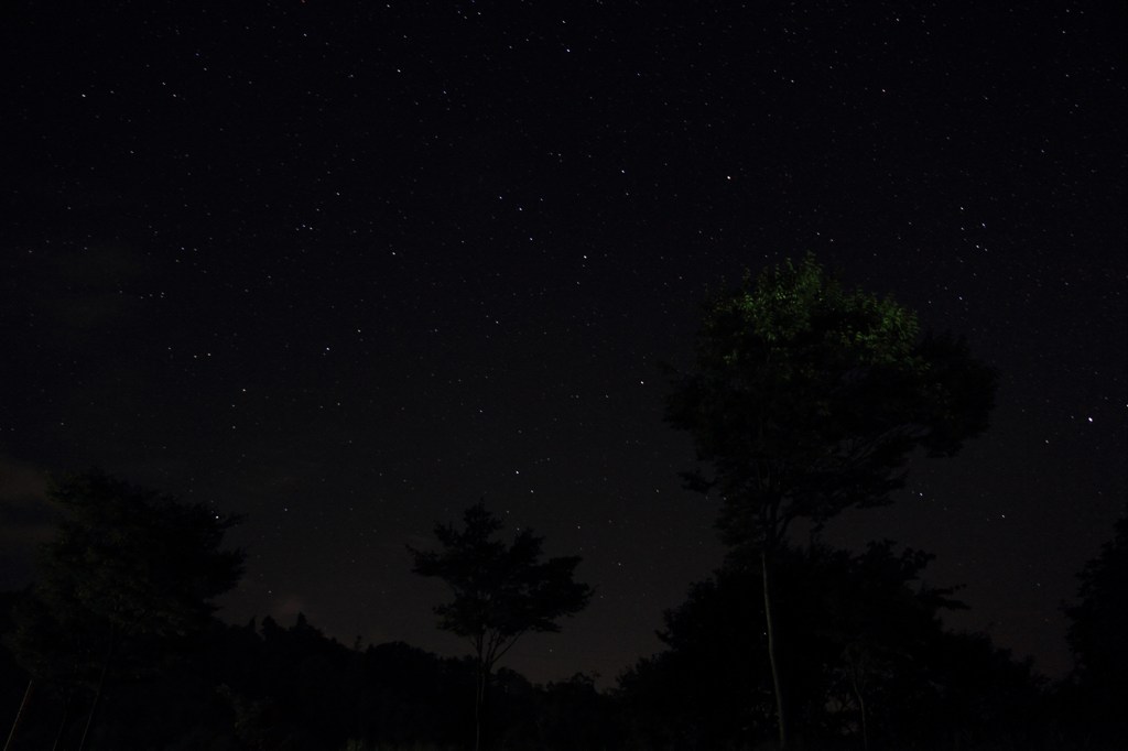夏の夜