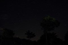 夏の夜