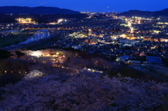 船岡城址公園　夜景