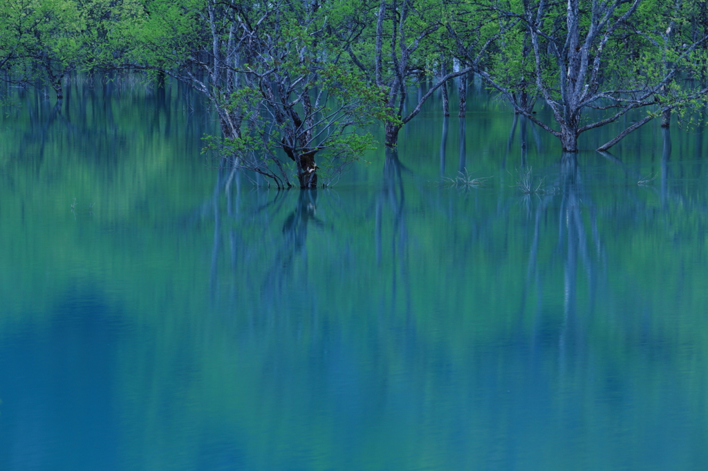 幻想の湖