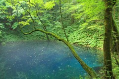 神秘の池