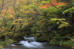 秋深まる渓流⑦