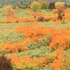 紅葉に囲まれて