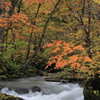 秋深まる渓流⑥