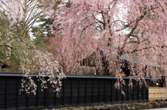 みちのく小京都の春