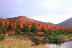 八甲田山の紅葉