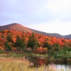 八甲田山の紅葉