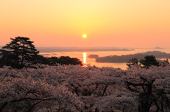 松島の朝　