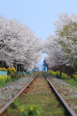 桜トンネルへ