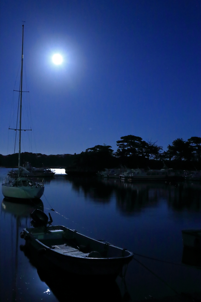 月夜に浮かぶ