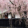 みちのく小京都の春