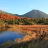 朝日に輝く
