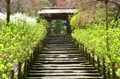 明月院