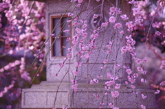 梅日和