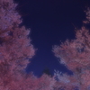 満天の空に