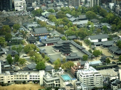 ハルカスから四天王寺