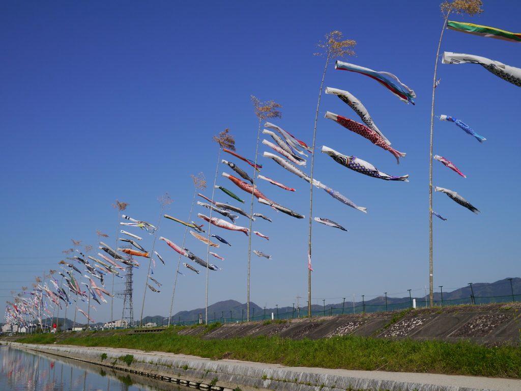 屋根よーりたーかーい？