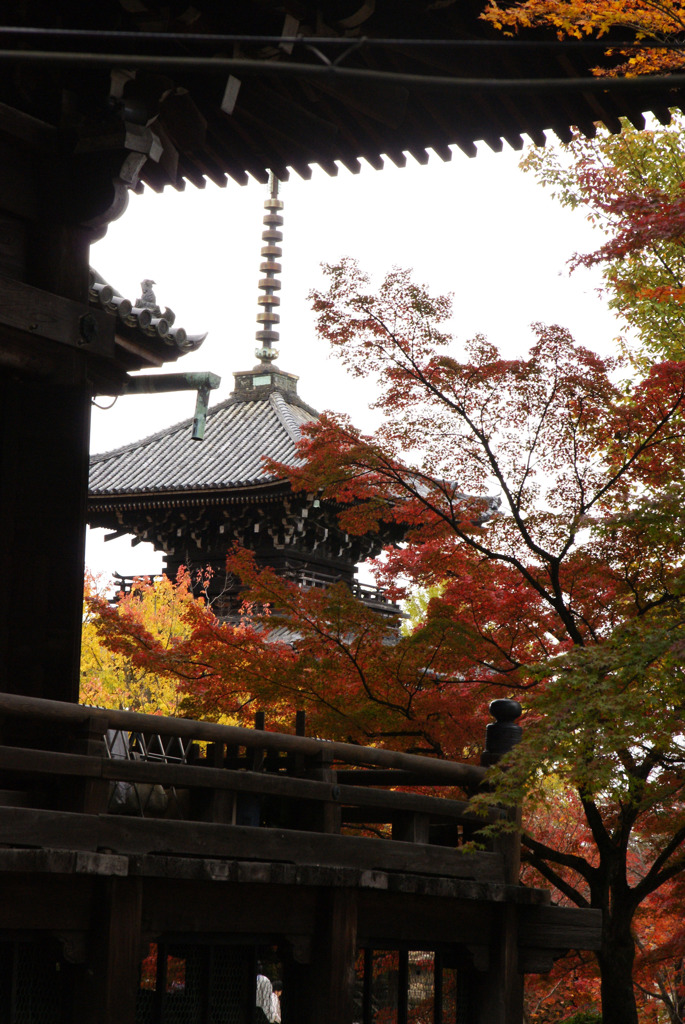京都　真如堂