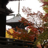 京都　真如堂