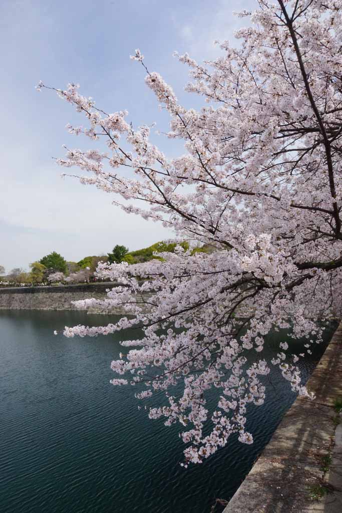 大阪城