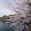 大阪城
