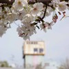 大阪　桜之宮公園