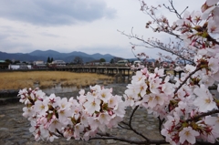 京都　嵐山