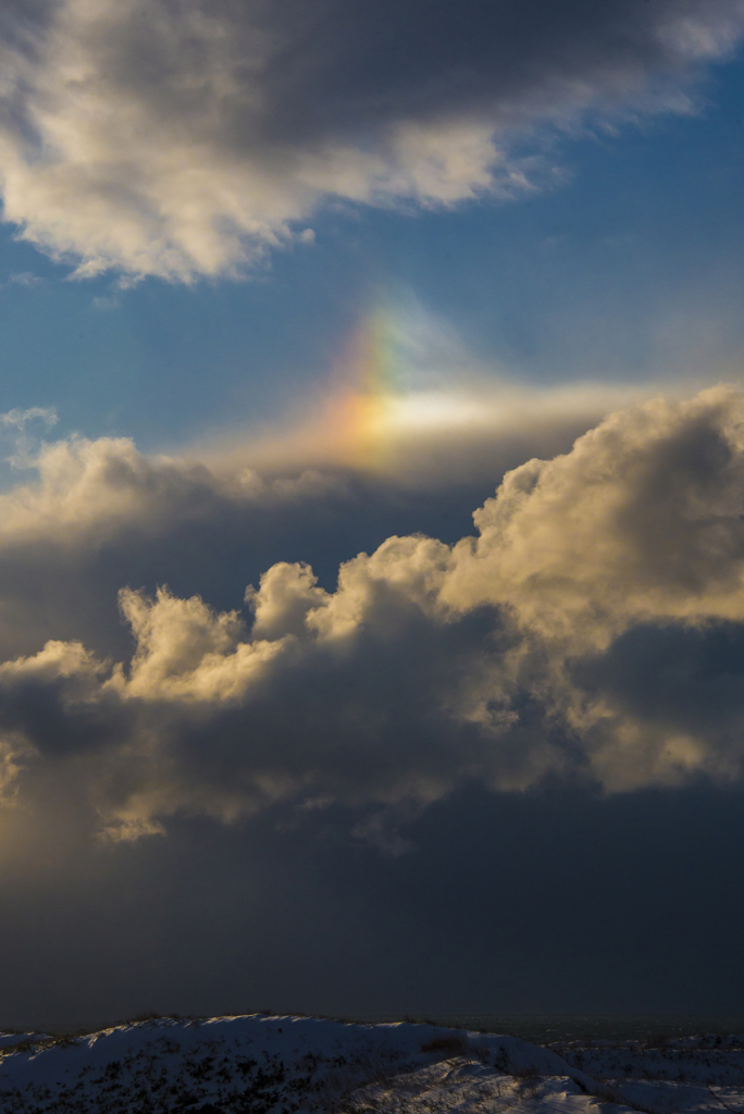 冬の空