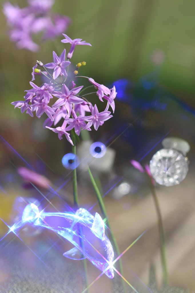 ニラ花？