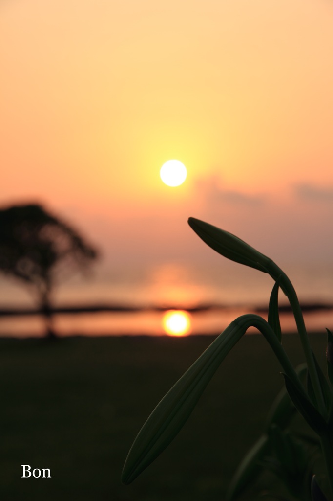 夕景２