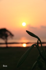 夕景２