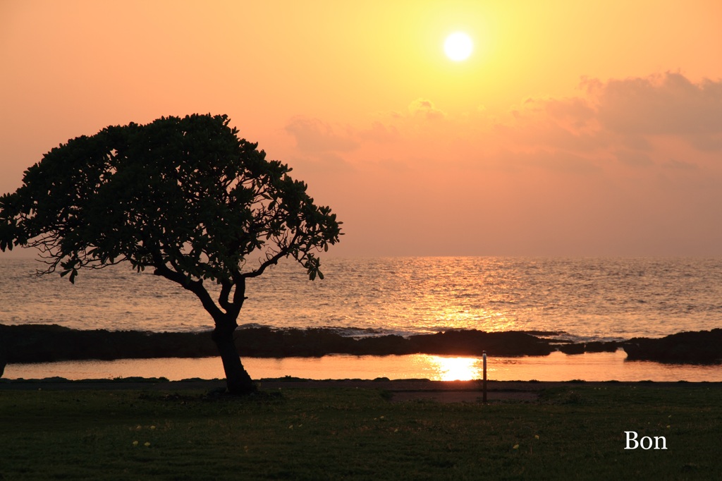 夕景１