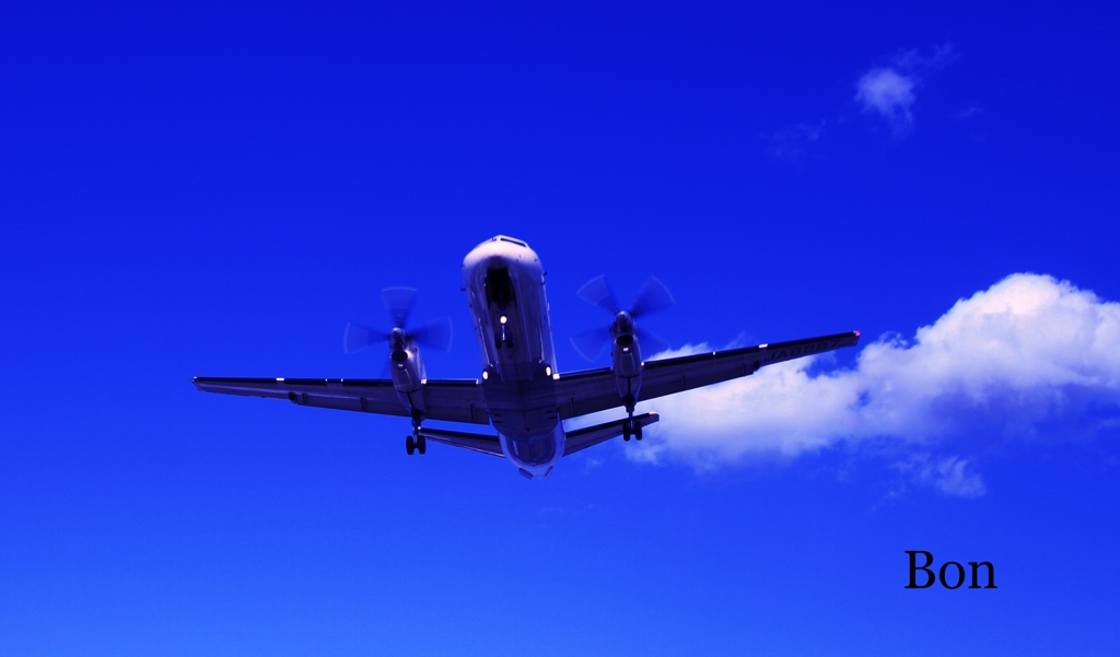 AA
