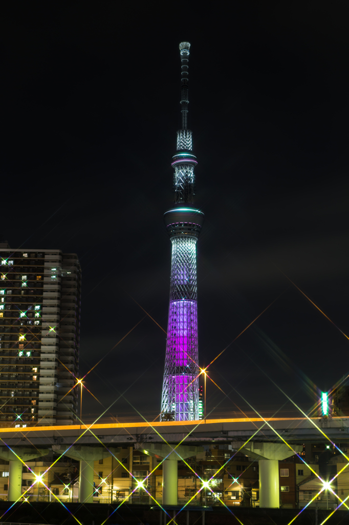 スカイツリーＣ