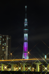 スカイツリーＣ