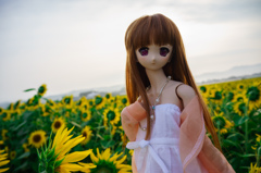 DSC00595