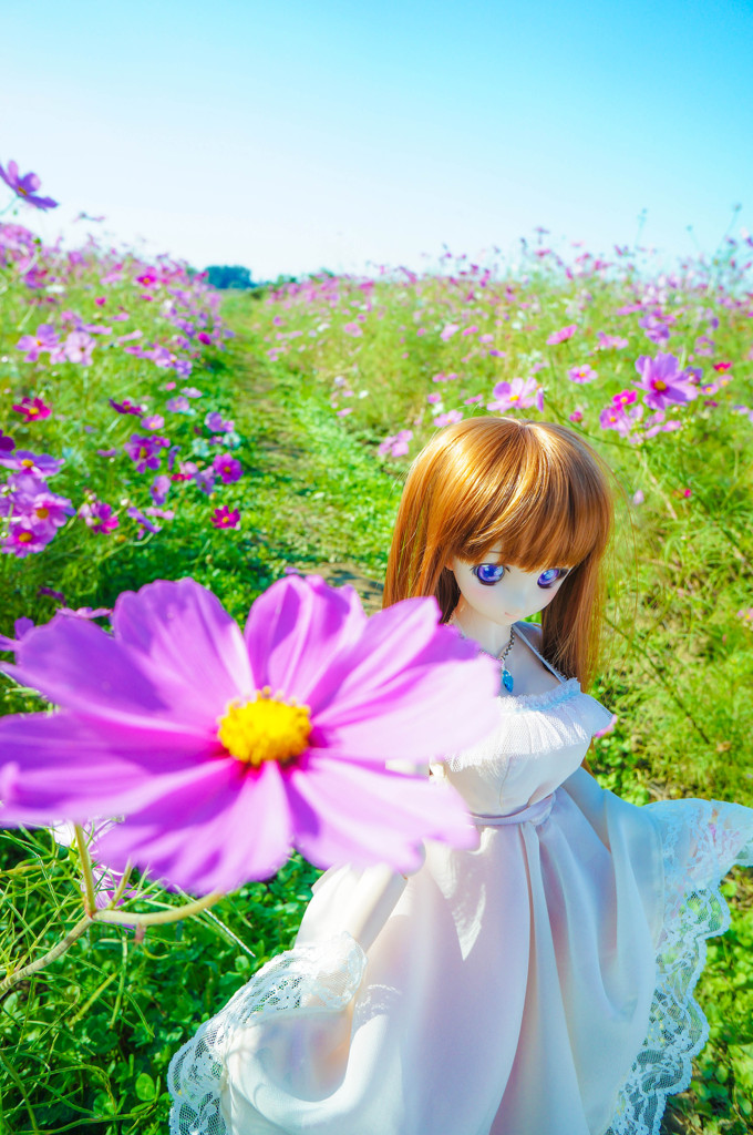 DSC04617