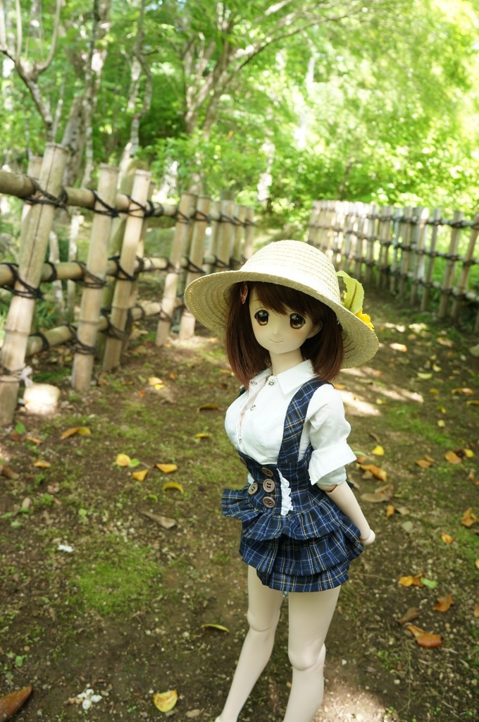 DSC01787