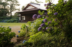 DSC00274
