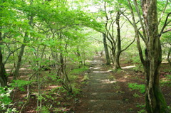 DSC01114