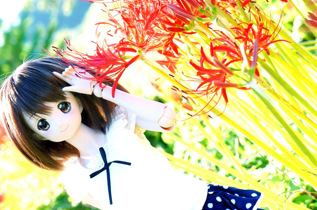 DSC03412
