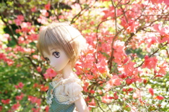 DSC01080