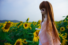 DSC00596