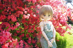 DSC01147