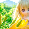 DSC00043