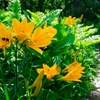 DSC00180