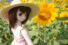 DSC01572